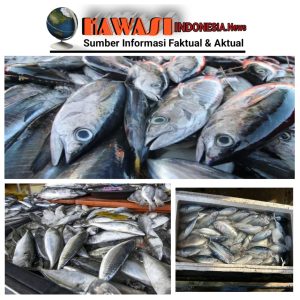 MENJELANG TAHUN BARU HARGA IKAN PASAR DESA KAWASI TETAP NORMAL.